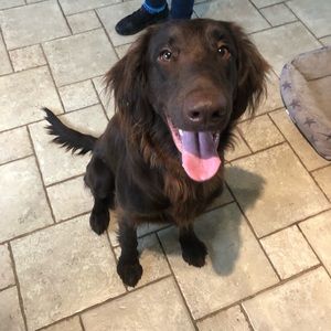 Meet your Posher, Melanie